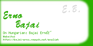 erno bajai business card